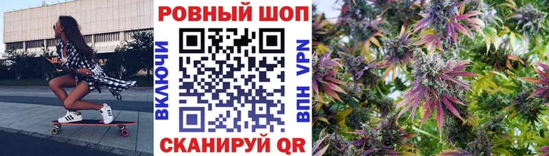 Купить закладку Амфетамин  Конопля  СОЛЬ  ГАШ  Мефедрон  COCAIN  Снежногорск