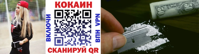 Купить закладки  Снежногорск  COCAIN 98% 