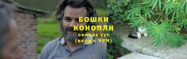 мдпв Волосово