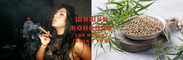 мдпв Волосово