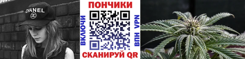 Конопля THC 21%  Купить закладки  Снежногорск 